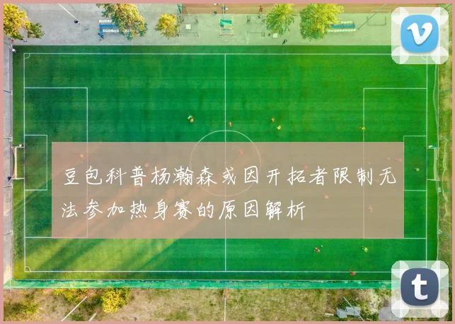豆包科普杨瀚森或因开拓者限制无法参加热身赛的原因解析