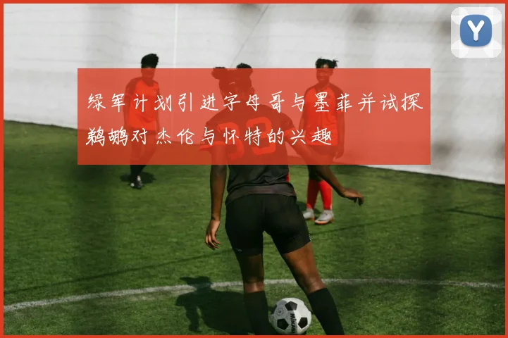 绿军计划引进字母哥与墨菲并试探鹈鹕对杰伦与怀特的兴趣