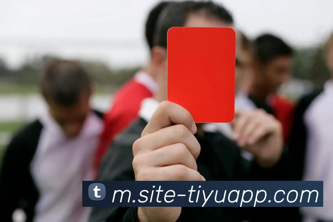 万博体育APP 封面图